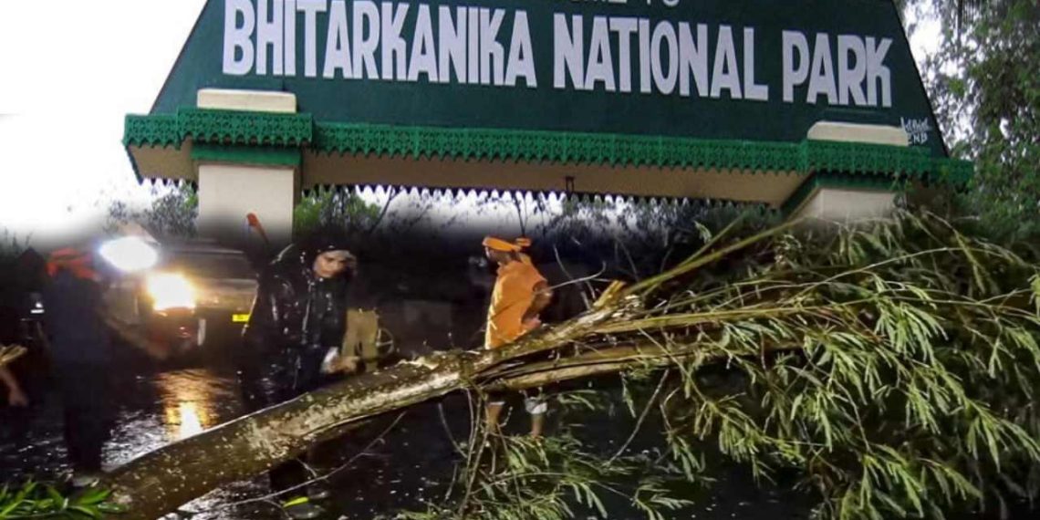 ঘূর্ণিঝড় ডানা-র ঝাপটায় লক্ষাধিক পাখির বাসা উড়ে গেল ভিতরকণিকায়