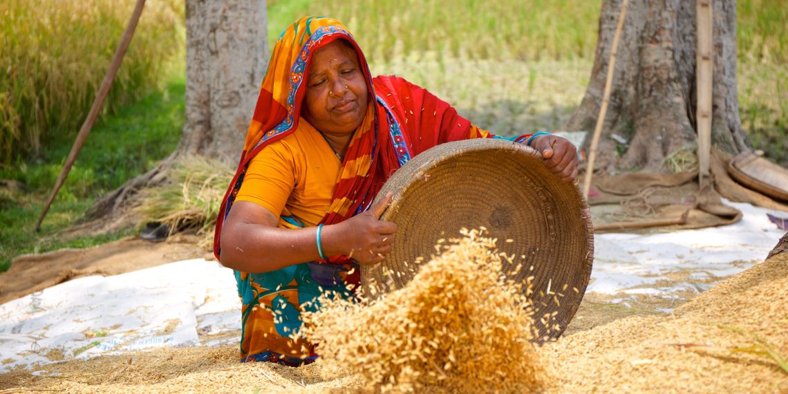 বাংলাদেশে চাল রপ্তানিতে নিষেধাজ্ঞা তুলে নিল ভারত