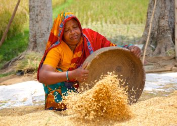 বাংলাদেশে চাল রপ্তানিতে নিষেধাজ্ঞা তুলে নিল ভারত