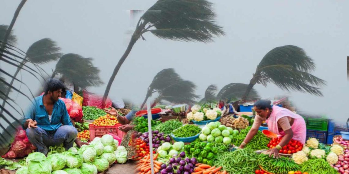 ঘূর্ণিঝড় ডানার ধাক্কায় কালীপুজোর আগেই দাম বাড়বে সবজির?