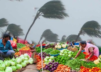 ঘূর্ণিঝড় ডানার ধাক্কায় কালীপুজোর আগেই দাম বাড়বে সবজির?