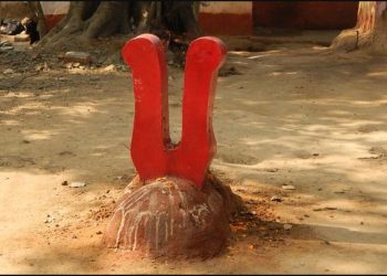 পশু বলি নিয়ে বিবাদ বহুদিনের, হিন্দু শাস্ত্র এই বিষয়ে কী বলছে?