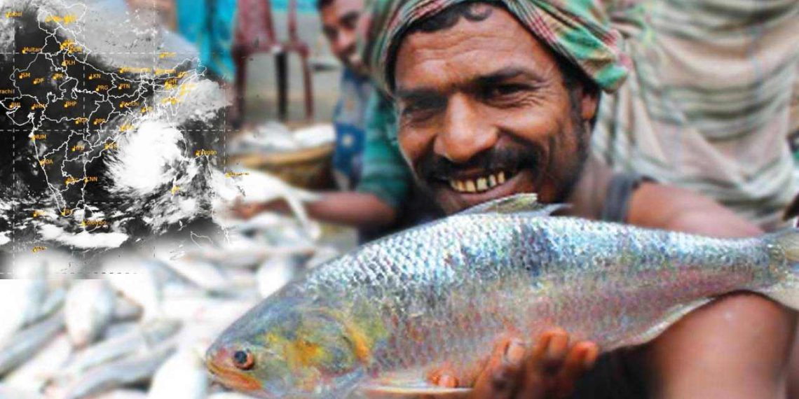 ঘূর্ণিঝড় ডানা-র প্রভাব, গঙ্গায় মৎসজীবীদের জালে ঝাঁকে ঝাঁকে উঠল ইলিশ!