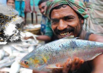 ঘূর্ণিঝড় ডানা-র প্রভাব, গঙ্গায় মৎসজীবীদের জালে ঝাঁকে ঝাঁকে উঠল ইলিশ!