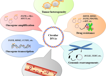 ক্যান্সার আক্রান্তদের জন্য আশার খবর