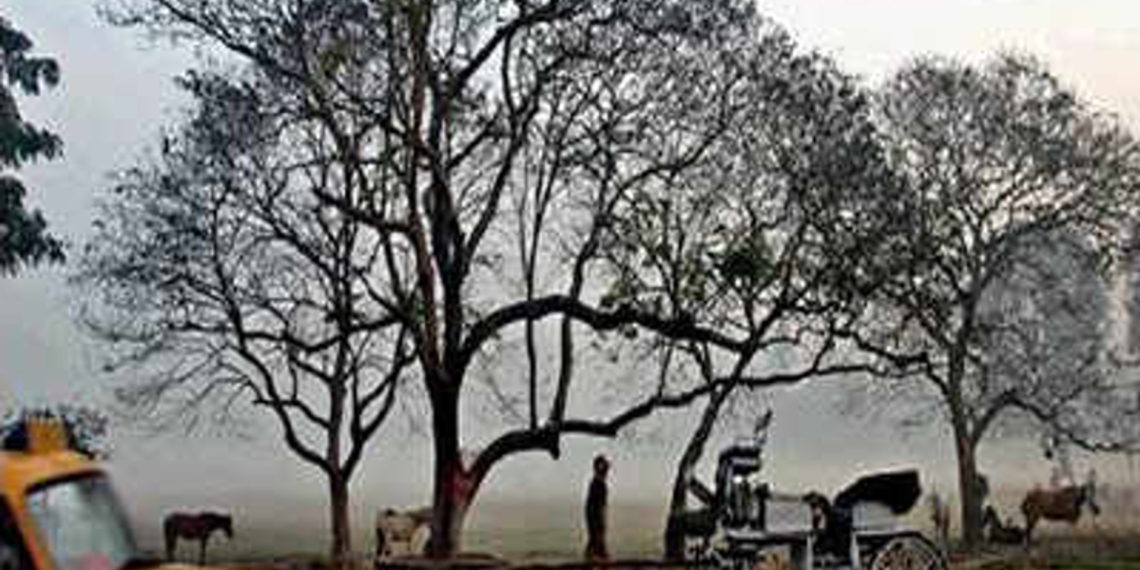 দিনভর হিমেল বাতাস, পারদ পতন কি অব্যহত?