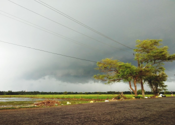ফের চড়ছে তাপমাত্রার পারদ! কবে ফিরবে শীতের আমেজ?