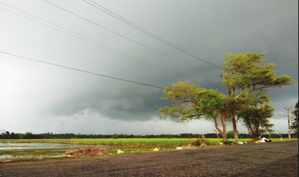 ফের চড়ছে তাপমাত্রার পারদ! কবে ফিরবে শীতের আমেজ?