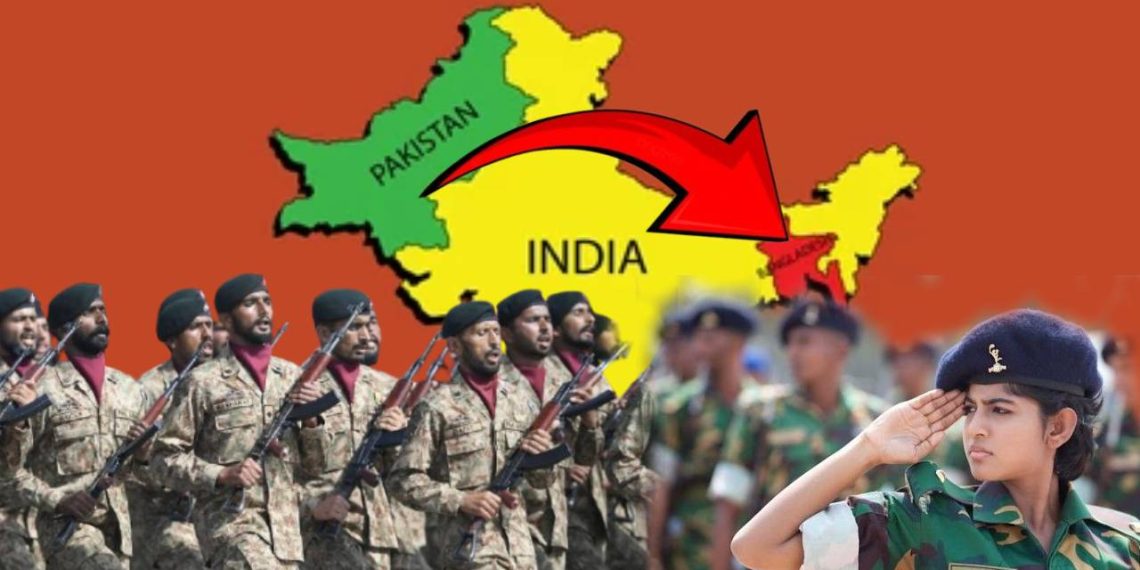 ৫৩ বছর পর ফের বংলাদেশে ঢুকছে পাকিস্তানি সেনা! ‘বন্ধু’ ইউনূসের হাল ধরছে শাহবাজ?