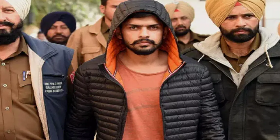 ভারতের শত্রুকে শেষ করল আমেরিকা, মোদীর পাশে ট্রাম্প, ঘুম উড়েছে ইউনূস মিয়ার