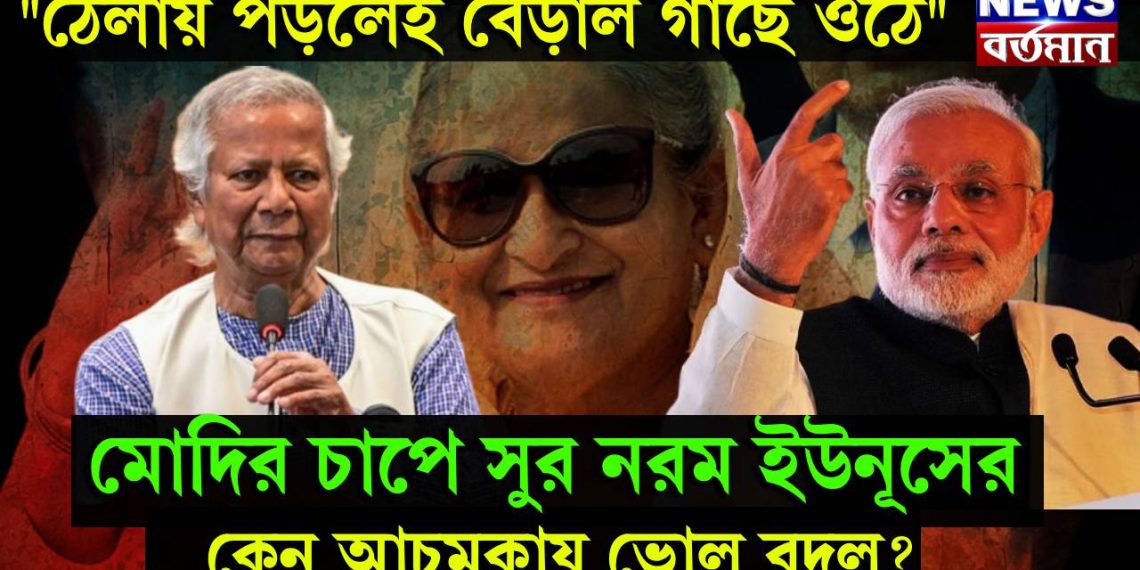 “ঠেলায় পড়লেই বেড়াল গাছে ওঠে” মোদির চাপে সুর নরম ইউনূসের, কেন আচমকায় ভোল বদল?