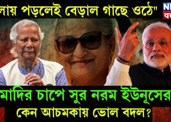 “ঠেলায় পড়লেই বেড়াল গাছে ওঠে” মোদির চাপে সুর নরম ইউনূসের, কেন আচমকায় ভোল বদল?