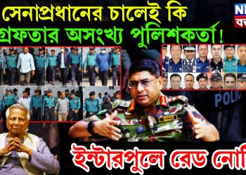 সেনাপ্রধানের চালেই কি গ্রেফতার অসংখ্য পুলিশকর্তা! ইন্টারপোলে রেড নোটিশ