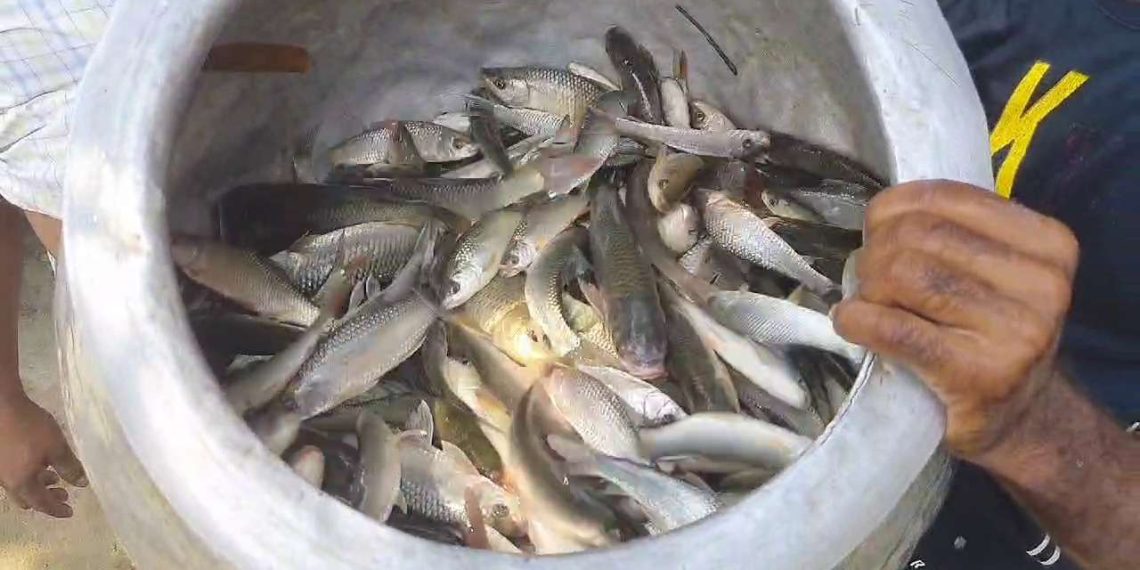 ভুয়ো কল সেন্টারে হানা বিধাননগর সিটি পুলিশের