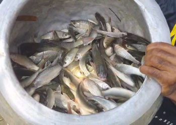 ভুয়ো কল সেন্টারে হানা বিধাননগর সিটি পুলিশের