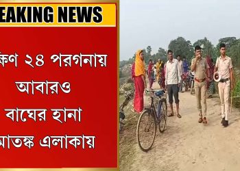 আবারো বাঘের হানা আতঙ্ক এলাকায়