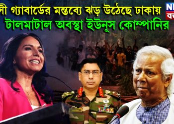 তুলসী গ্যাবার্ডের মন্তব্যে ঝড় উঠেছে ঢাকায়। টালমাটাল অবস্থা ইউনূস কোম্পানির