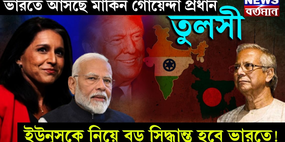 ভারতে আসছে মার্কিন গোয়েন্দা প্রধান তুলসী, ইউনূসকে নিয়ে বড় সিদ্ধান্ত হবে ভারতে!