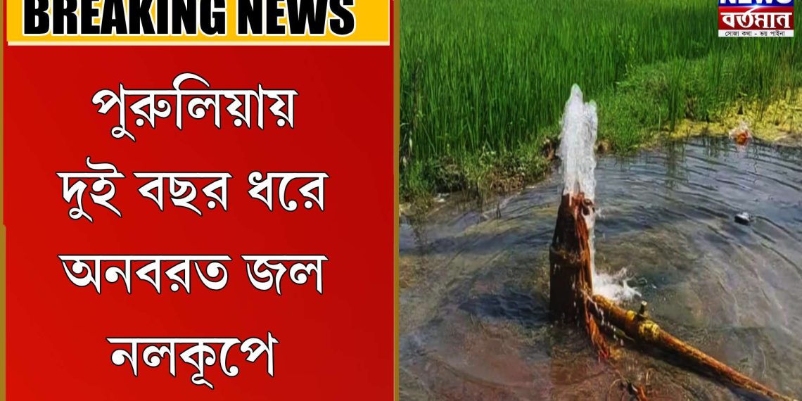 দুই বছর ধরে অনবরত জল নলকূপে