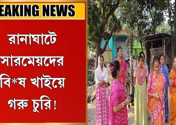 সা*রমে*য়দের বি*ষ খাইয়ে গরু চু*রি!