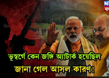 ভূস্বর্গে কেন জঙ্গি অ্যাটাক হয়েছিল, জানা গেল আসল কারণ