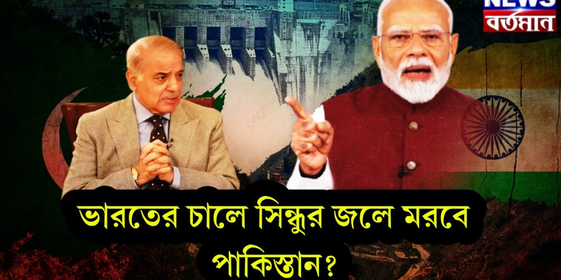 ভারতের চালে সিন্ধুর জলে মরবে পাকিস্তান?