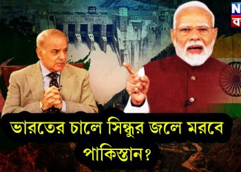 ভারতের চালে সিন্ধুর জলে মরবে পাকিস্তান?