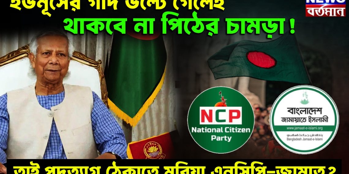 ইউনূসের গদি উল্টে গেলেই থাকবে না পিঠের চামড়া! তাই পদত্যাগ ঠেকাতে মরিয়া এনসিপি-জামাত?