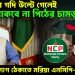 ইউনূসের গদি উল্টে গেলেই থাকবে না পিঠের চামড়া! তাই পদত্যাগ ঠেকাতে মরিয়া এনসিপি-জামাত?