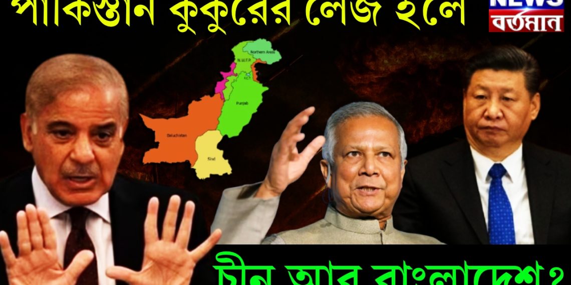 পাকিস্তান কুকুরের লেজ হলে, চীন আর বাংলাদেশ?