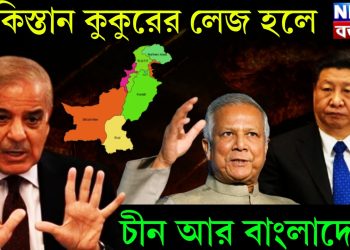 পাকিস্তান কুকুরের লেজ হলে, চীন আর বাংলাদেশ?