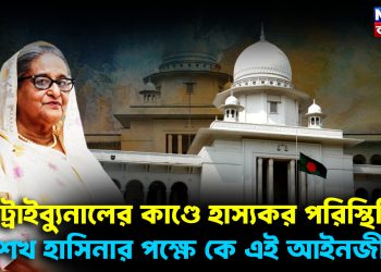 ট্রাইব্যুনালের কাণ্ডে হাস্যকর পরিস্থিতি। শেখ হাসিনার পক্ষে কে এই আইনজীবী?