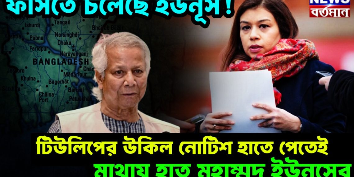 ফাঁসতে চলেছে ইউনূস! টিউলিপের উকিল নোটিস হাতে পেতেই মাথায় হাত মুহাম্মদ ইউনূসের