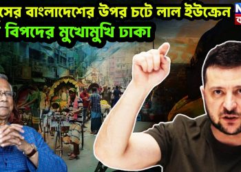 ইউনূসের বাংলাদেশের উপর চটে লাল ইউক্রেন। চরম বিপদের মুখোমুখি ঢাকা