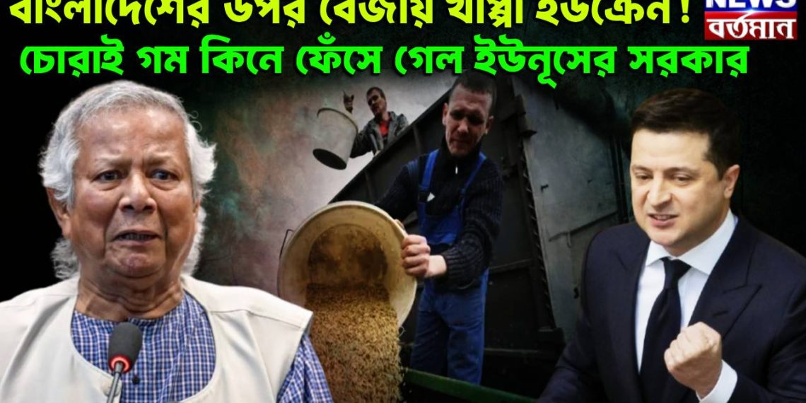 বাংলাদেশের উপর বেজায় খাপ্পা ইউক্রেন!  চোরাই গম কিনে ফেঁসে গেল ইউনূসের সরকার