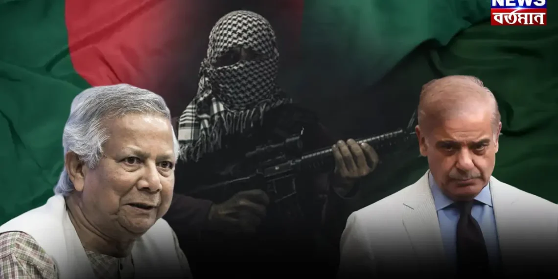 “চোরে চোরে মাসতুতো ভাই” সন্ত্রাসবাদ দমনে নাকি এক হল পাকিস্তান-বাংলাদেশ!