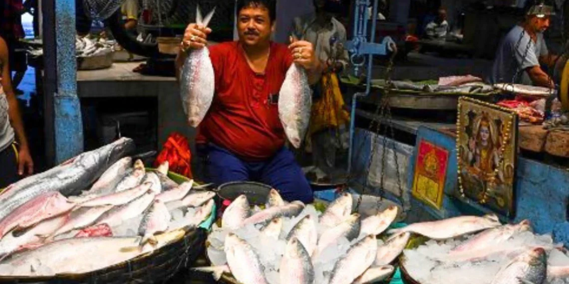 পদ্মার ইলিশ আনতে ঢাকা যাচ্ছেন কলকাতার ব্যবসায়ীরা কলকাতা থেকে চিঠি গেল ইউনূসের দরবারে