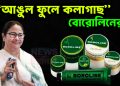 মুখ্যমন্ত্রীর এক টিপসেই “আঙুল ফুলে কলাগাছ” বোরোলিনের!