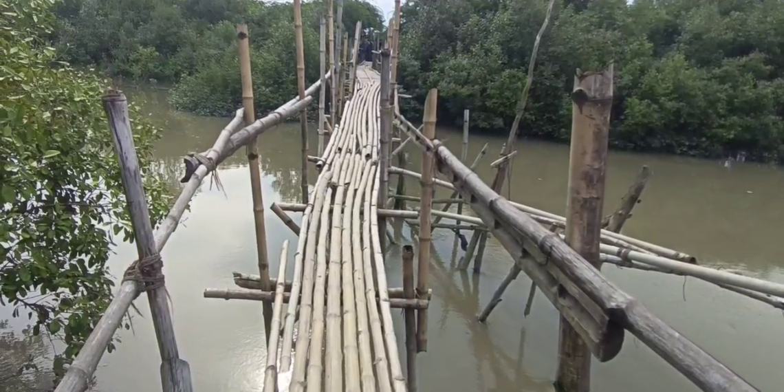আতঙ্কে সুন্দরবনবাসী। ভাঙ্গা বাঁশের সাঁকোই ভরসায় গোটা গ্রামের। নির্ভীক নিশ্চুপ প্রশাসন