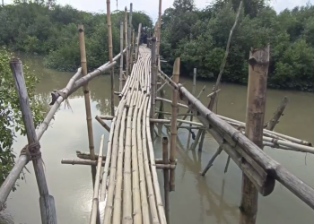 আতঙ্কে সুন্দরবনবাসী। ভাঙ্গা বাঁশের সাঁকোই ভরসায় গোটা গ্রামের। নির্ভীক নিশ্চুপ প্রশাসন