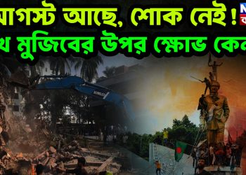 আগস্ট আছে, শোক নেই!  শেখ মুজিবের উপর ক্ষোভ কেন?