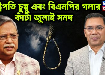 রাষ্ট্রপতি চুপ্পু এবং বিএনপির  গলার কাঁটা জুলাই সনদ