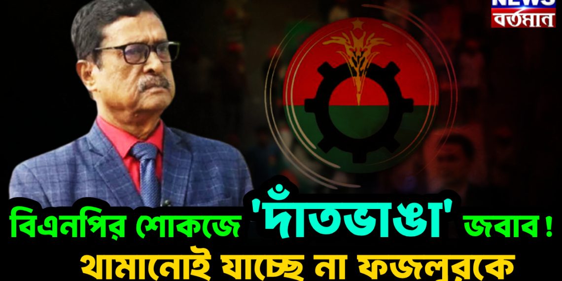 বিএনপির শোকজে ‘দাঁতভাঙা’ জবাব! থামানোই যাচ্ছে না ফজলুরকে