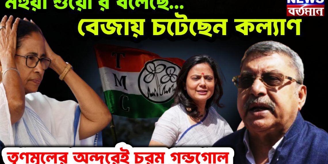 মহুয়া শুয়োর বলেছে….. বেজায় চটেছেন কল্যাণ। তৃণমূলের অন্দরেই চরম গন্ডগোল