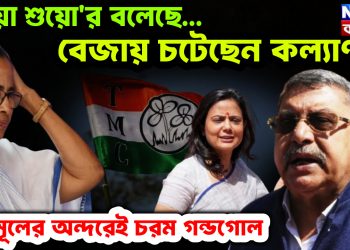 মহুয়া শুয়োর বলেছে….. বেজায় চটেছেন কল্যাণ। তৃণমূলের অন্দরেই চরম গন্ডগোল