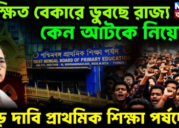 শিক্ষিত বেকারে ডুবছে রাজ্য। কেন আটকে নিয়োগ বড় দাবি প্রাথমিক শিক্ষা পর্ষদের
