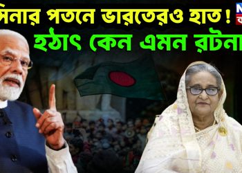 হাসিনার পতনে ভারতেরও হাত! হঠাৎ কেন এমন রটনা?