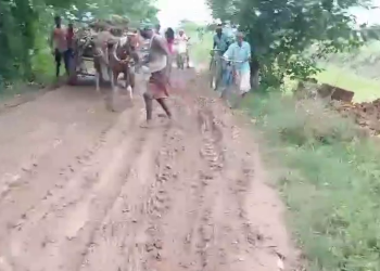 মাননীয়ার বক্তৃতায় সার কাজের কাজ কিছু না বেহাল রাস্তা চাঁদা তুলে সারাচ্ছে মালদার কালিয়াচকের মানুষ