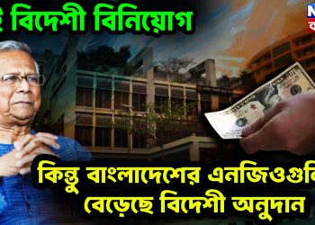 নেই বিদেশী বিনিয়োগ কিন্তু বাংলাদেশের এনজিওগুলিতে বেড়েছে বিদেশী অনুদান