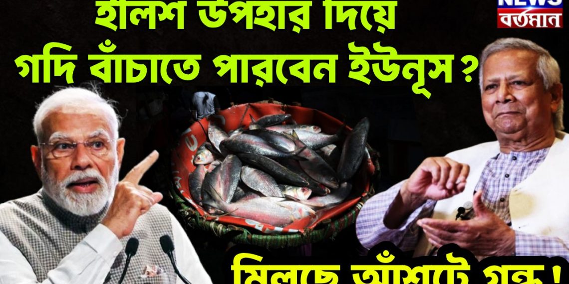 ইলিশ উপহার দিয়ে গদি বাঁচাতে পারবেন ইউনূস? মিলছে আঁশটে গন্ধ!